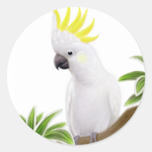 Etiqueta com crista do Cockatoo do enxofre