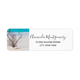 Etiqueta Conchas brancas em uma praia tropical