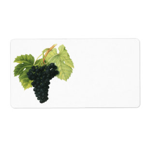 Etiqueta Conjunto orgânico da uva do vinho tinto do