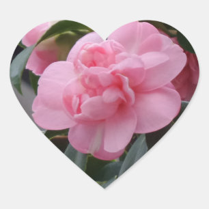 Etiqueta cor-de-rosa do coração da flor