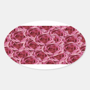 Etiqueta cor-de-rosa dos rosas