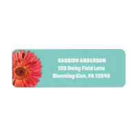 Coral Colorido Gerbera Daisy Photo Mint Green