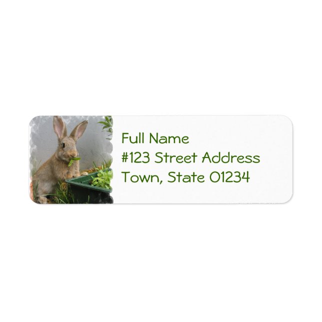 Etiqueta Cottontail Rabbit Mailing Labels (Frente)