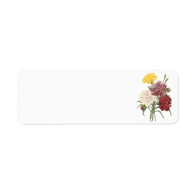 Etiqueta cravo(Dianthus sp.) por Redouté (Frente)