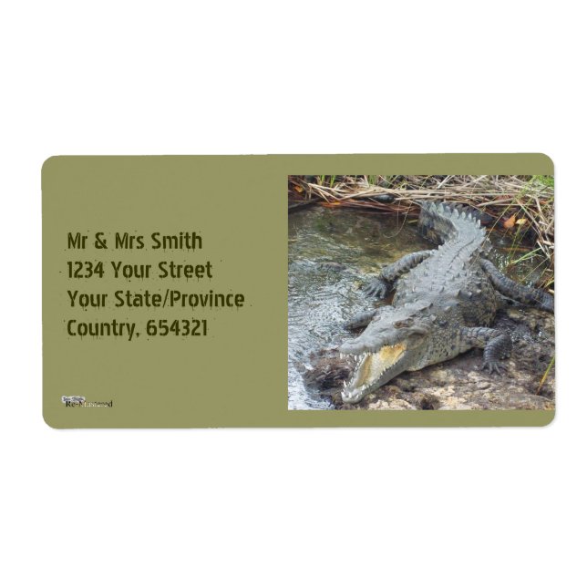 Etiqueta Crocodilo de Água Salgada jamaicano (Frente)