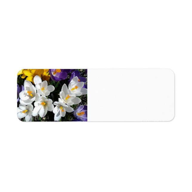 Etiqueta Crocus Flowers Primavera Mix (Frente)