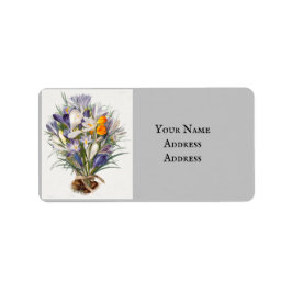 Etiqueta Crocus Primavera Fllower Arte Botânica