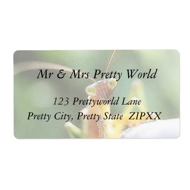 Etiqueta Curioso Rezando Mantis (Frente)