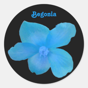Etiqueta customizável da begónia azul