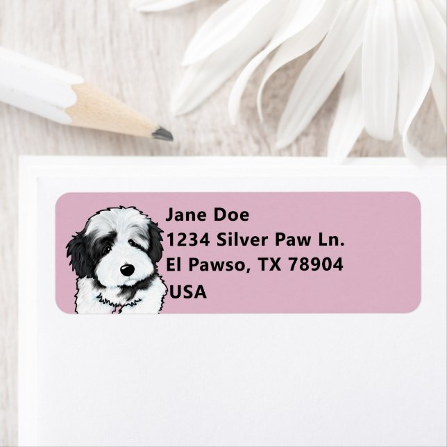 Etiqueta Cute Havanese (Insitu)