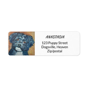 ETIQUETA CUTIE HAVANESE PRETO