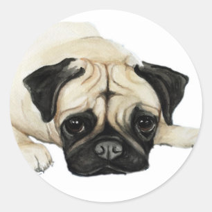 Etiqueta da arte do cão do "Pug"
