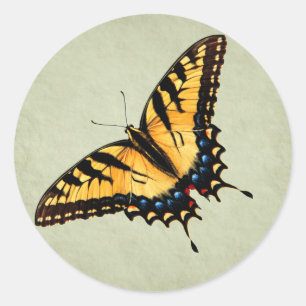 Etiqueta da borboleta de Swallowtail