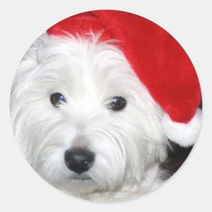 Etiqueta da capoeira do papai noel