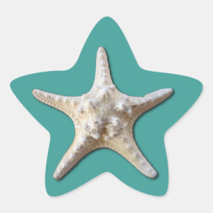 Etiqueta da estrela do mar