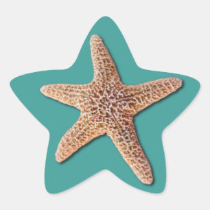 Etiqueta da estrela do mar - turquesa