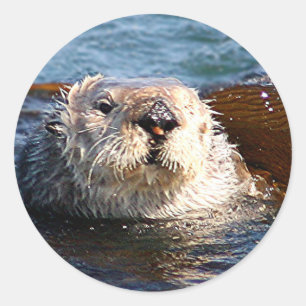 Etiqueta da lontra