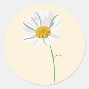 Etiqueta da margarida
