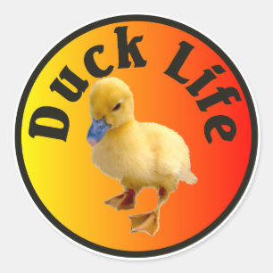 Etiqueta da vida do pato