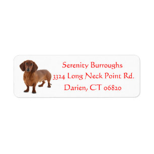 Etiqueta Dachshund Chocolate Castanho Vermelho