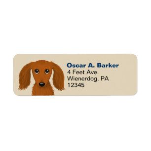 Etiqueta Dachshund  Endereço de devolução do cão do nav