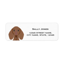 Etiqueta dachshund return address label - rótulo do cão