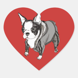 Etiqueta dada forma coração de Boston Terrier