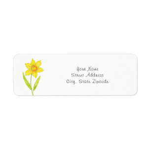 Etiqueta Daffodil 2 da aguarela
