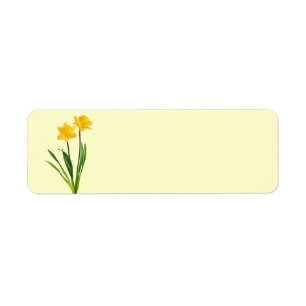 Etiqueta Daffodils amarelos do primavera - modelo do