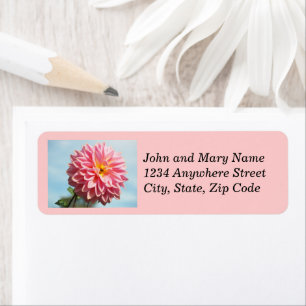 Etiqueta Dahlia Bloom Floral Endereço Rosa