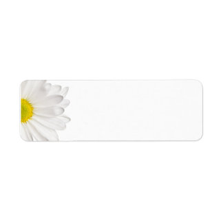 Etiqueta Daisies Personalizadas de Fundo de Daisy Flower Br
