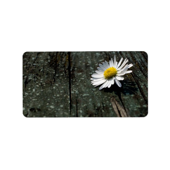 Etiqueta Daisy Solitude (Frente)