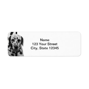 Etiqueta Dalmatian Dotty preto e branco