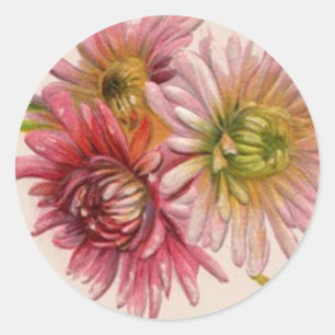 Etiqueta das flores