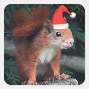 Etiqueta das garras do papai noel