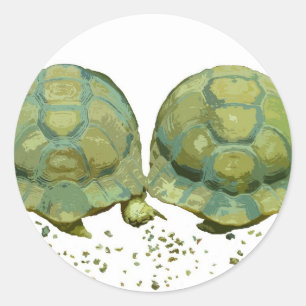 Etiqueta das tartarugas dos desenhos animados