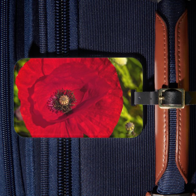 Etiqueta De Bagagem A série de papoila nº 2 (Frente Insitu 4)