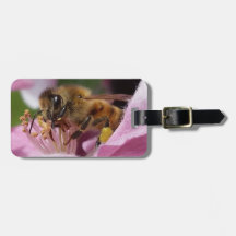 Abelha do mel na flor de Crabapple seu nome