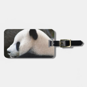 Etiqueta De Bagagem Abraços de urso da panda