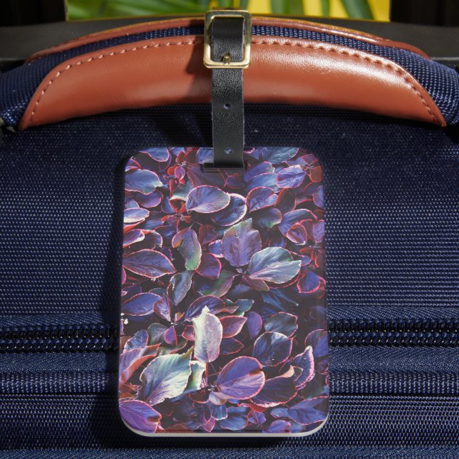 Etiqueta De Bagagem Acalypha Wilkesiana (Frente Insitu 2)