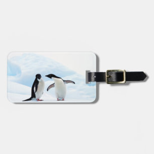 Etiqueta De Bagagem Adelie Penguins