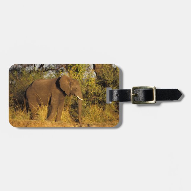 Etiqueta De Bagagem África, Zimbábue, Victoria Falls National Park. (Frente Horizontal)