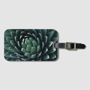 Etiqueta De Bagagem Agave verde