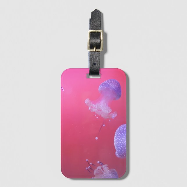Etiqueta De Bagagem Água-viva a rosa (Frente Vertical)
