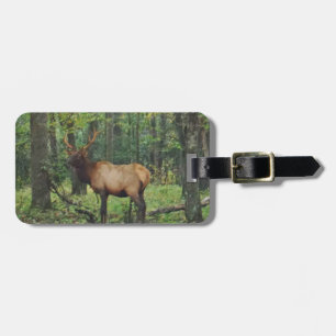 Etiqueta De Bagagem Alces masculinos de Bull no campo do outono