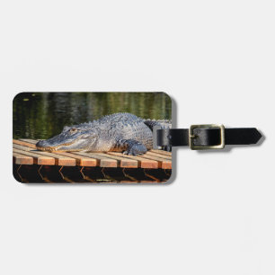 Etiqueta De Bagagem Alligator no Parque Estadual da Vida Selvagem de H