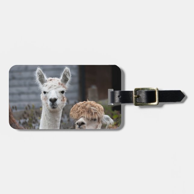 Etiqueta De Bagagem Alpacas (Frente Horizontal)