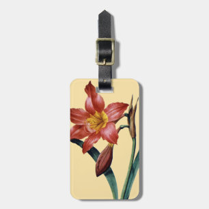 Etiqueta De Bagagem Amaryllis