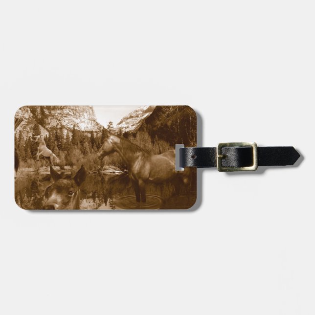 Etiqueta De Bagagem american (Frente Horizontal)