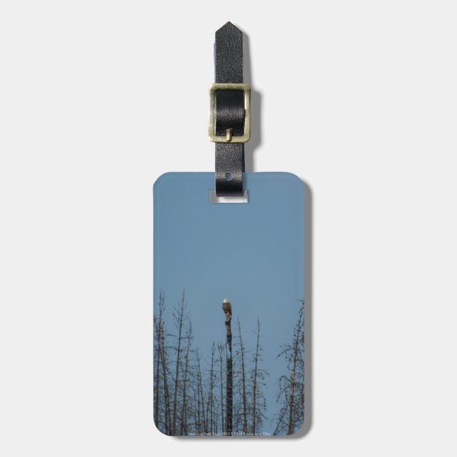 Etiqueta De Bagagem American Bald Eagle 8974 (Frente Vertical)